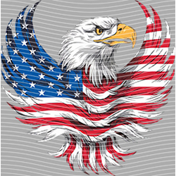 USA-MG 3590